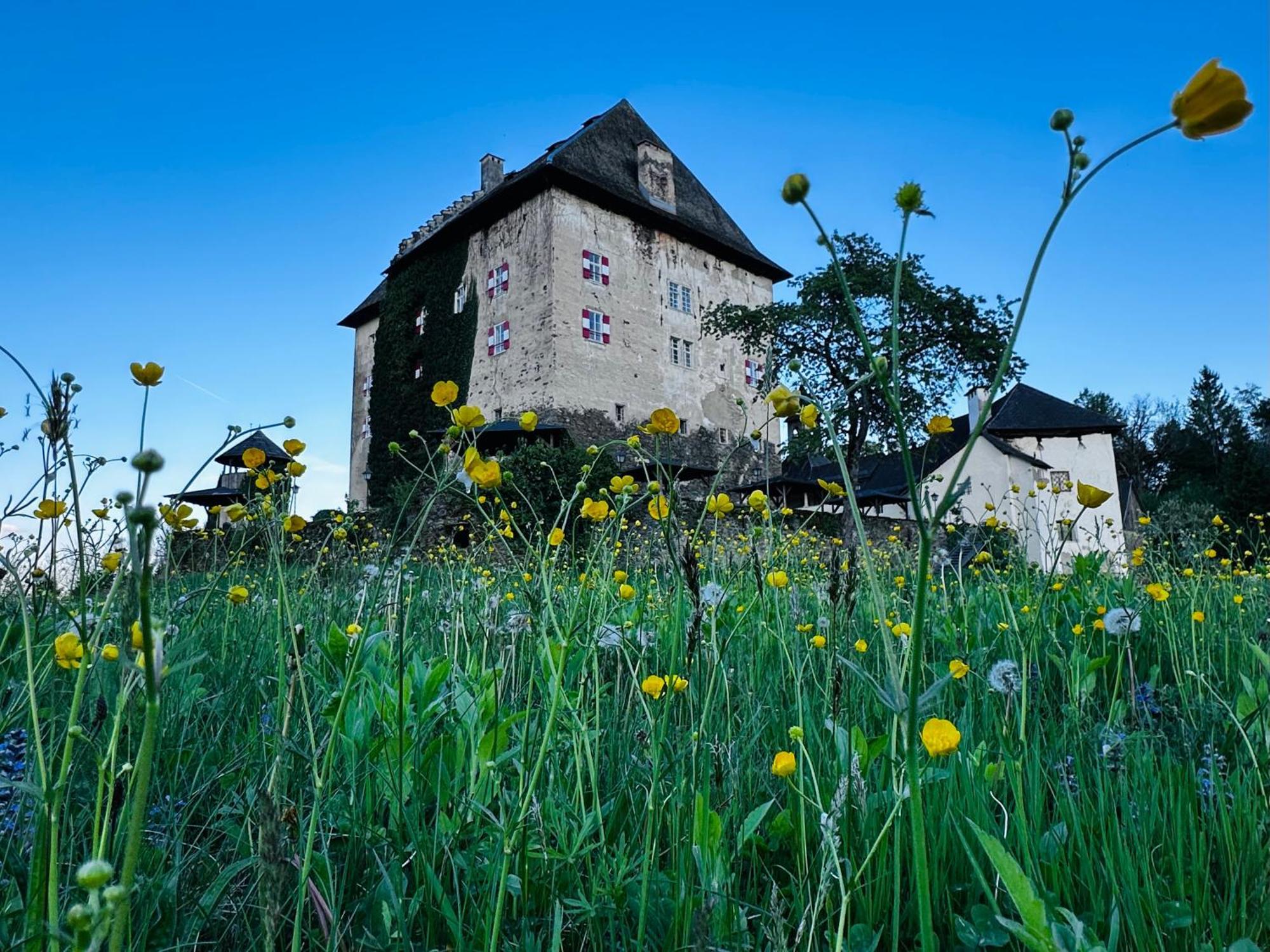 Schloss Gaestehaus 4*